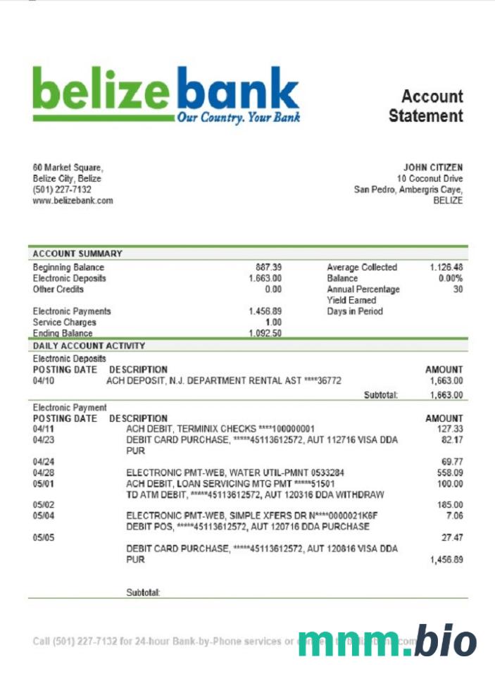 Wyciąg bankowy belizebank belizebank łatwy do wypełnienia szablon .xls i .format pliku pdf